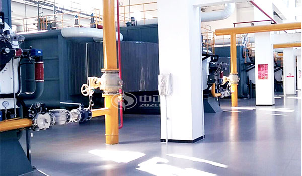 房地產(chǎn)供熱29MW SZS燃?xì)鉄崴仩t項(xiàng)目